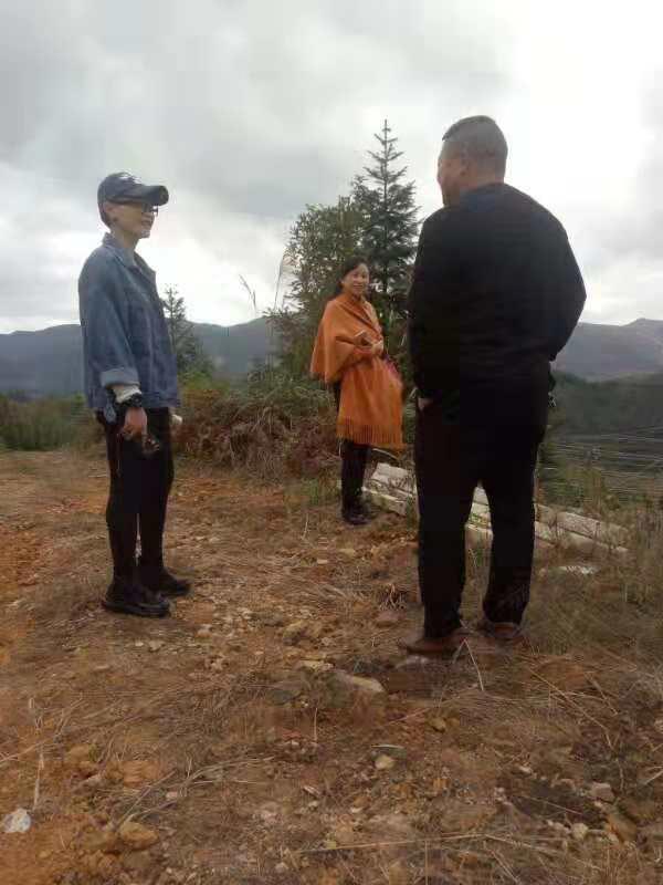 ��ɳ(8087-js��֤)�鳡��-Officialwebsite