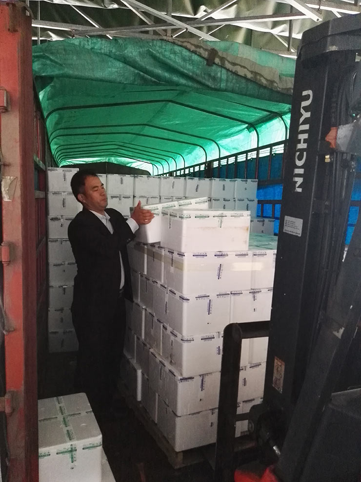 ��ɳ(8087-js��֤)�鳡��-Officialwebsite