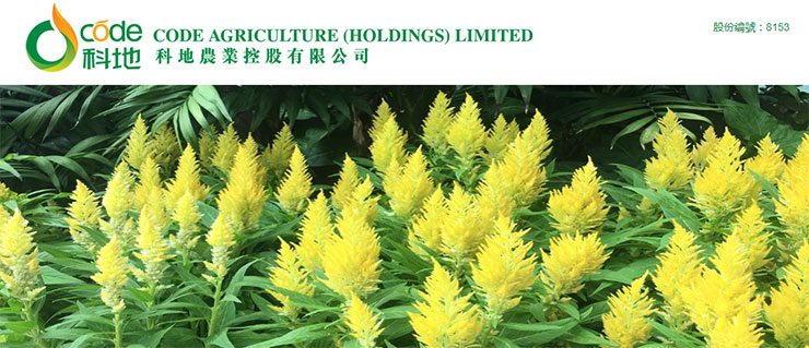 ��ɳ(8087-js��֤)�鳡��-Officialwebsite