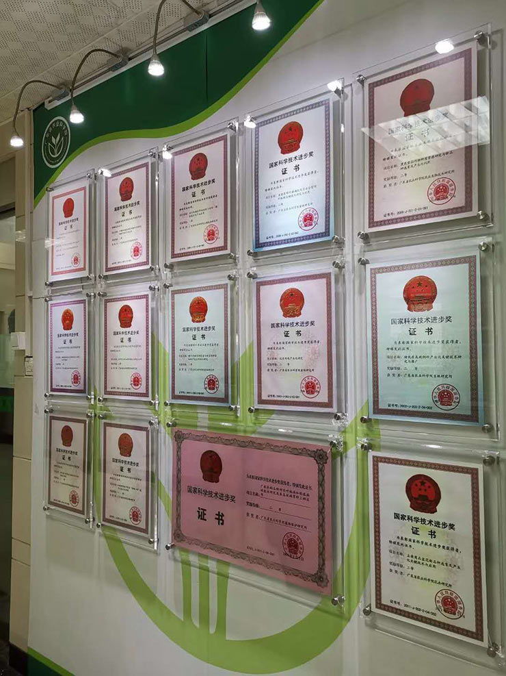 ��ɳ(8087-js��֤)�鳡��-Officialwebsite