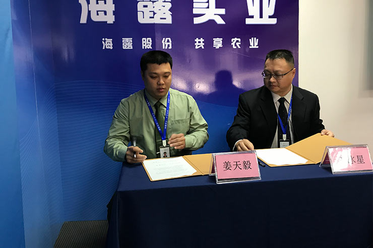 ��ɳ(8087-js��֤)�鳡��-Officialwebsite