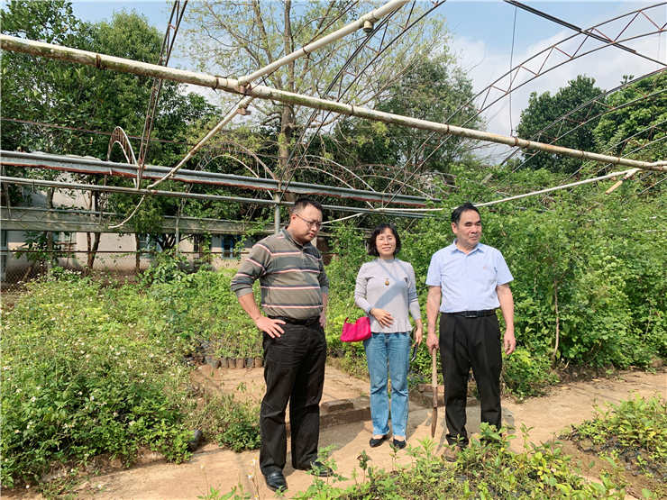 ��ɳ(8087-js��֤)�鳡��-Officialwebsite