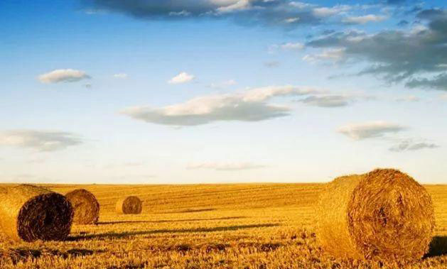 ��ɳ(8087-js��֤)�鳡��-Officialwebsite