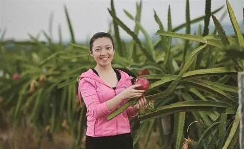 ��ɳ(8087-js��֤)�鳡��-Officialwebsite