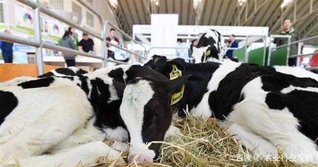 ��ɳ(8087-js��֤)�鳡��-Officialwebsite