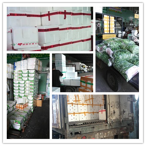 ��ɳ(8087-js��֤)�鳡��-Officialwebsite