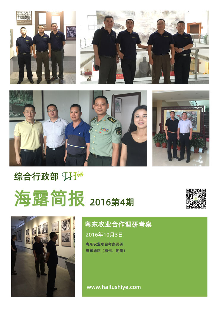 ��ɳ(8087-js��֤)�鳡��-Officialwebsite