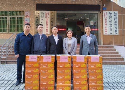 �ᶨ�����������������ٷ�չ