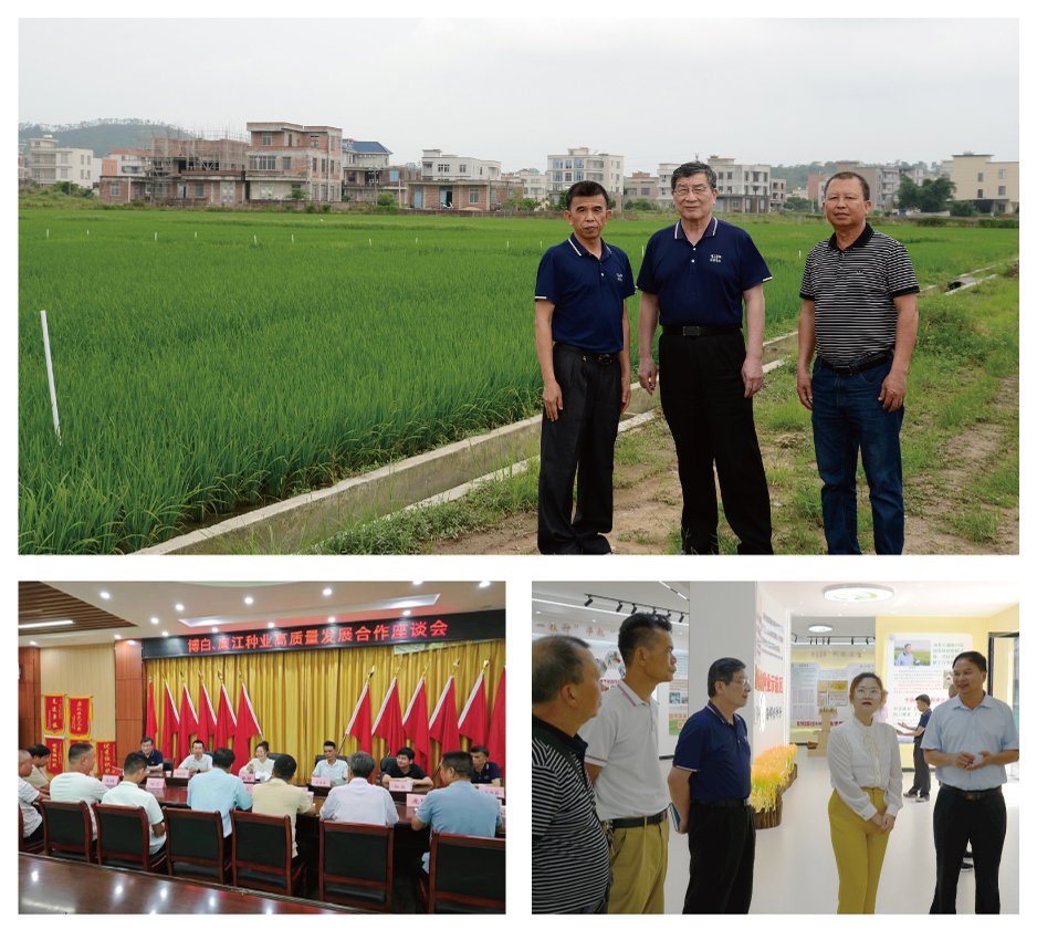 ��ɳ(8087-js��֤)�鳡��-Officialwebsite