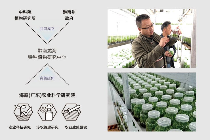 ��ɳ(8087-js��֤)�鳡��-Officialwebsite