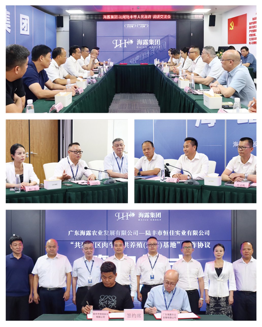 ��ɳ(8087-js��֤)�鳡��-Officialwebsite