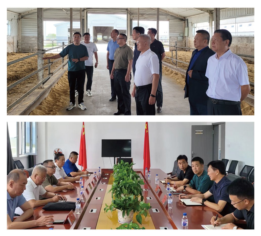 ��ɳ(8087-js��֤)�鳡��-Officialwebsite