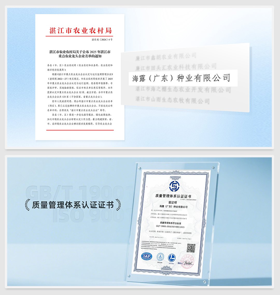 ��ɳ(8087-js��֤)�鳡��-Officialwebsite